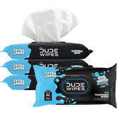 Dude Wipes LiL' DUDE 99% Water Flushable Wipes, XL for Potty Training