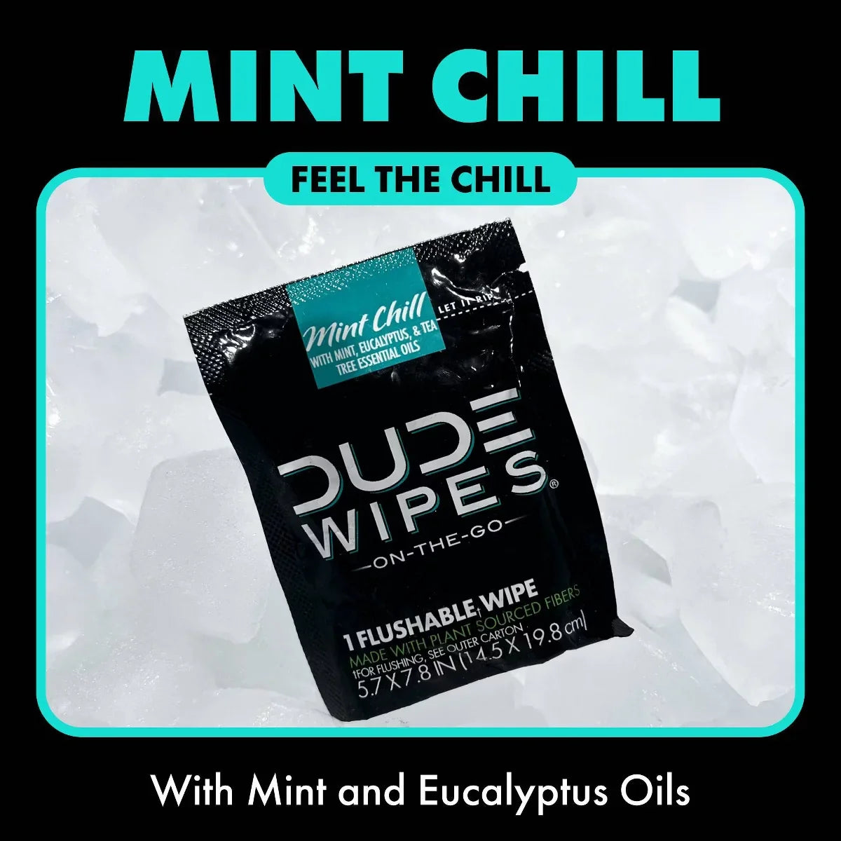 Dude Wipes Mint Chill On-The-Go Flushable Individually Wrapped Wet Wipes - Travel Size - 30ct: Aloe, Vitamin E, Dye-Free, Eucalyptus Scented