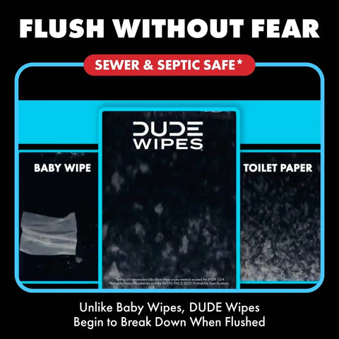 Dude Wipes Poopsicle Flushable Extra-Large Ice Pop Scented Wet Personal Wipes - 144ct