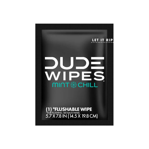 Dude Wipes Mint Chill On-The-Go Flushable Individually Wrapped Wet Wipes - Travel Size - 30ct: Aloe, Vitamin E, Dye-Free, Eucalyptus Scented