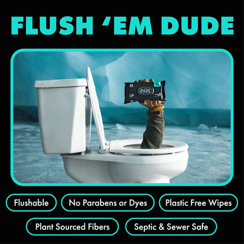 Dude Wipes Mint Chill Infused with  Tea Tree Oil Flushable Wet Wipes - Extra Large - 48ct: Whole Body Use, Contains Aloe, Contains Vitamin E, Dye-Free