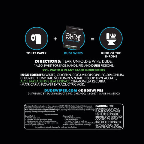 Dude Wipes Mint Chill On-The-Go Flushable Individually Wrapped Wet Wipes - Travel Size - 30ct: Aloe, Vitamin E, Dye-Free, Eucalyptus Scented