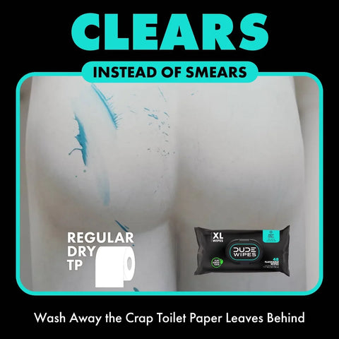 Dude Wipes Mint Chill On-The-Go Flushable Individually Wrapped Wet Wipes - Travel Size - 30ct: Aloe, Vitamin E, Dye-Free, Eucalyptus Scented