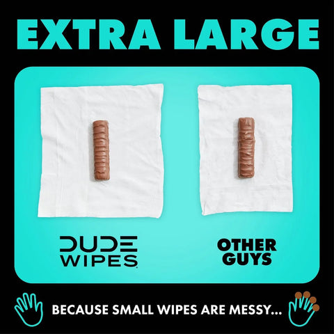 Dude Wipes Mint Chill Infused with  Tea Tree Oil Flushable Wet Wipes - Extra Large - 48ct: Whole Body Use, Contains Aloe, Contains Vitamin E, Dye-Free